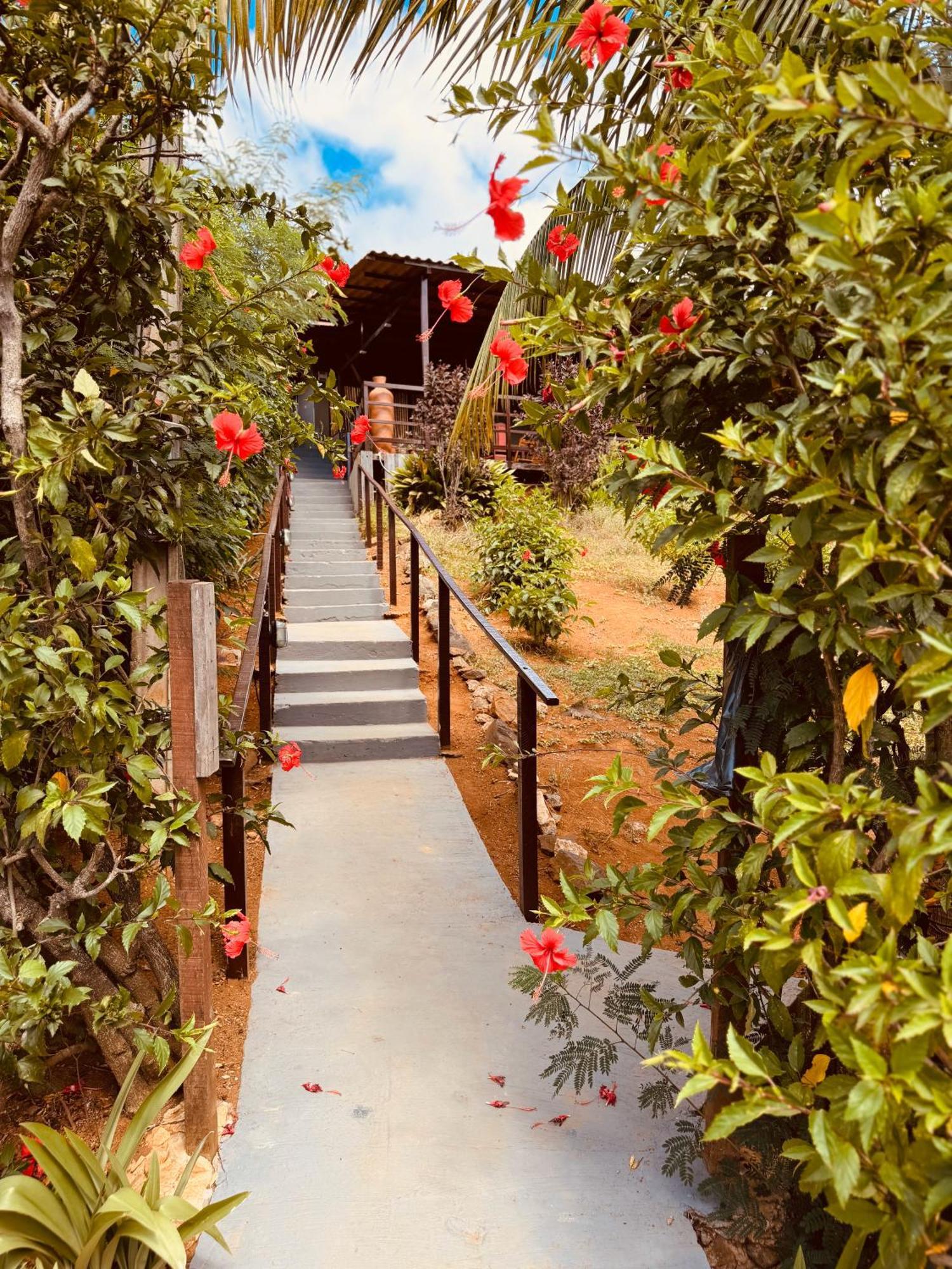 Casa Flor