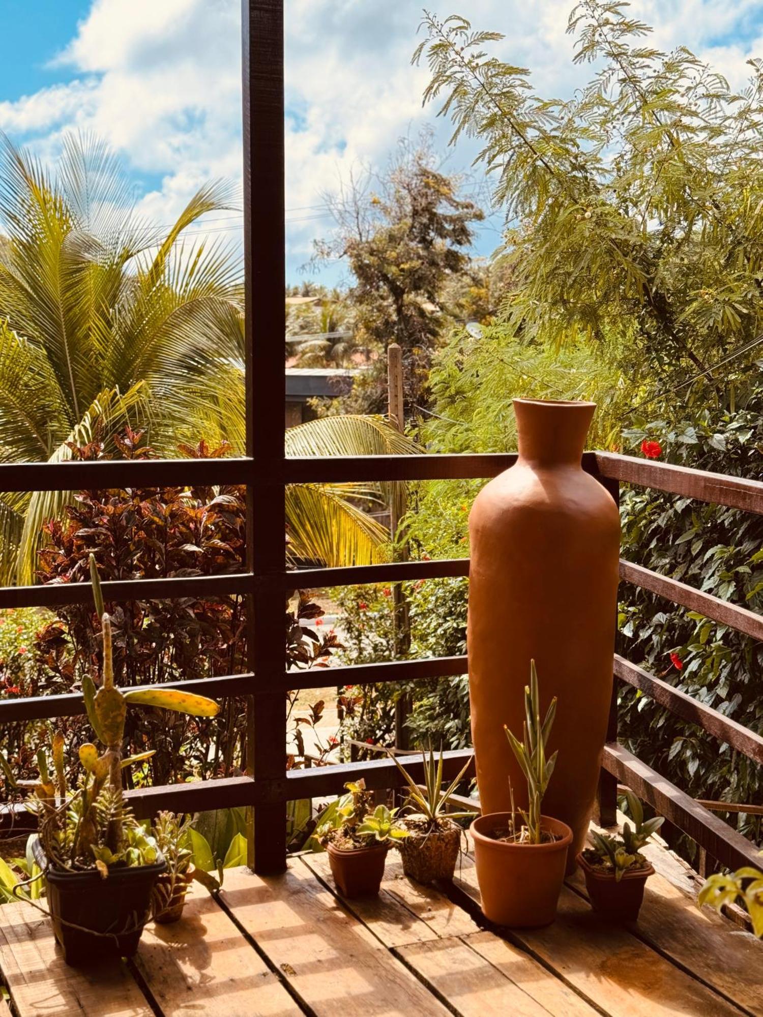 Homestay Casa Flor *